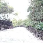 Adega Ramalho